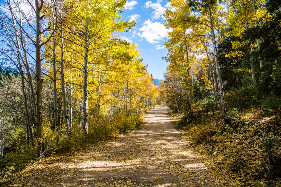Fall canyon drives